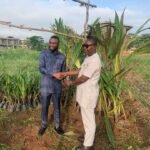 SUPPORT FOR KPANDO SCHOOLS WITH 600 TREE CROP SEEDLINGS